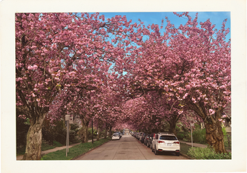 Nurturing the nervous system; spring edition
