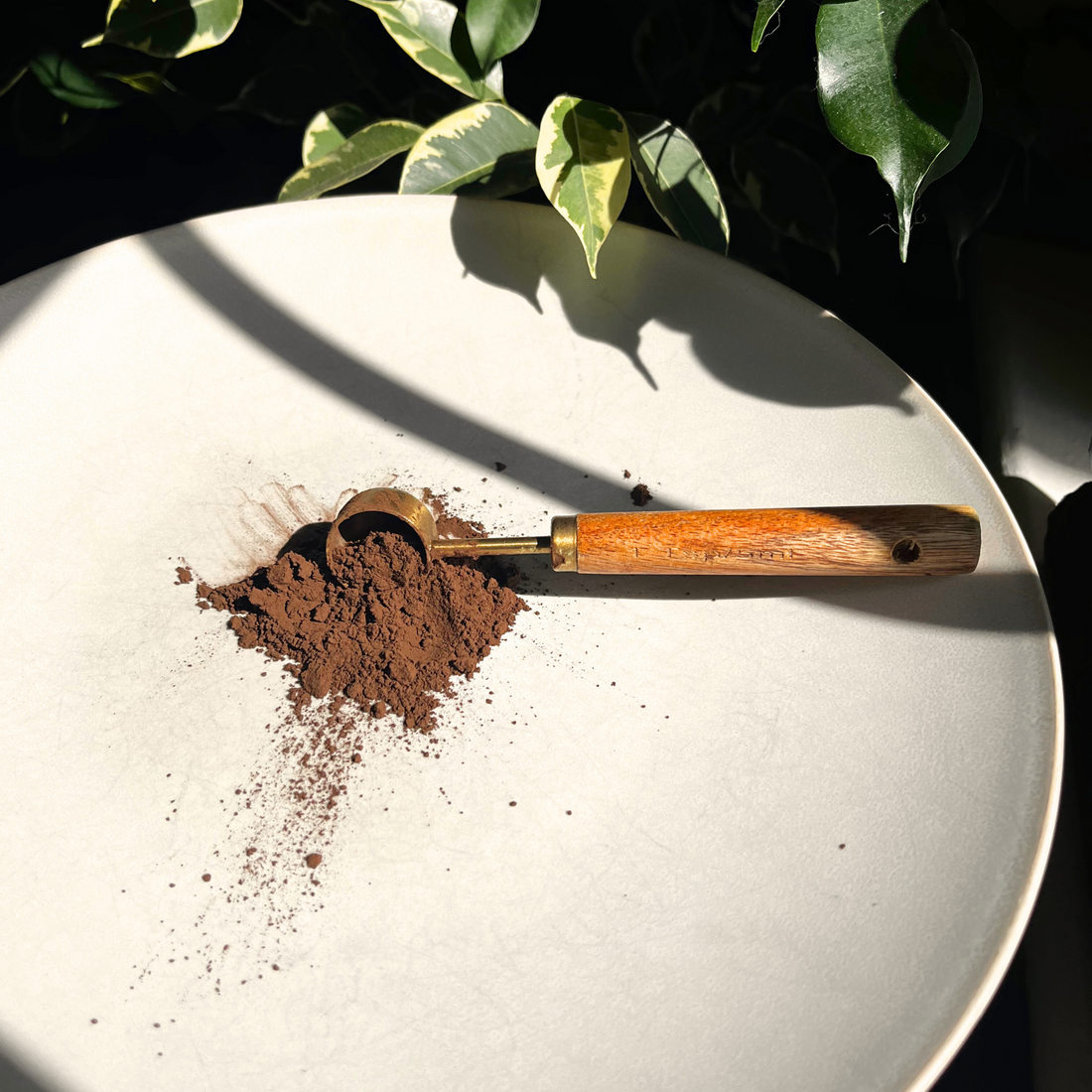 Houjicha 30g